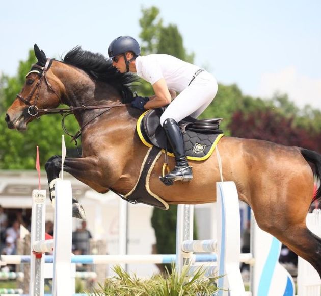 centro ippico riding club mugello